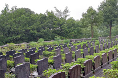 重庆现在的公墓多少钱一个
