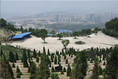 重庆市巴南区金山陵园是区级公墓吗?