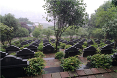 重庆树葬陵园有哪些？买树葬对老人好不好？