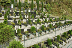 明月陵园现在有多少个墓地价格是多少钱