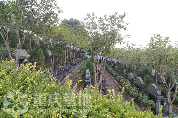 洪家坡公墓墓型园区