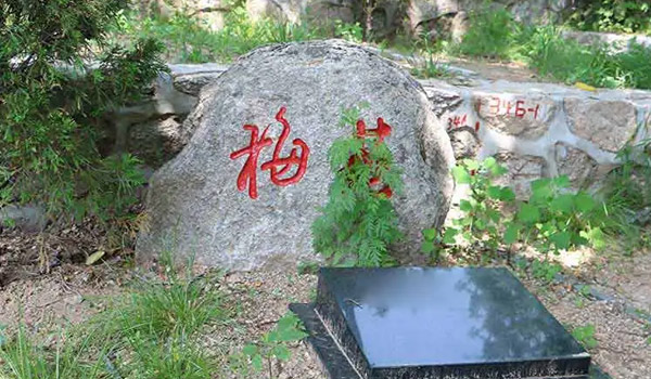 华夏园艺术墓型