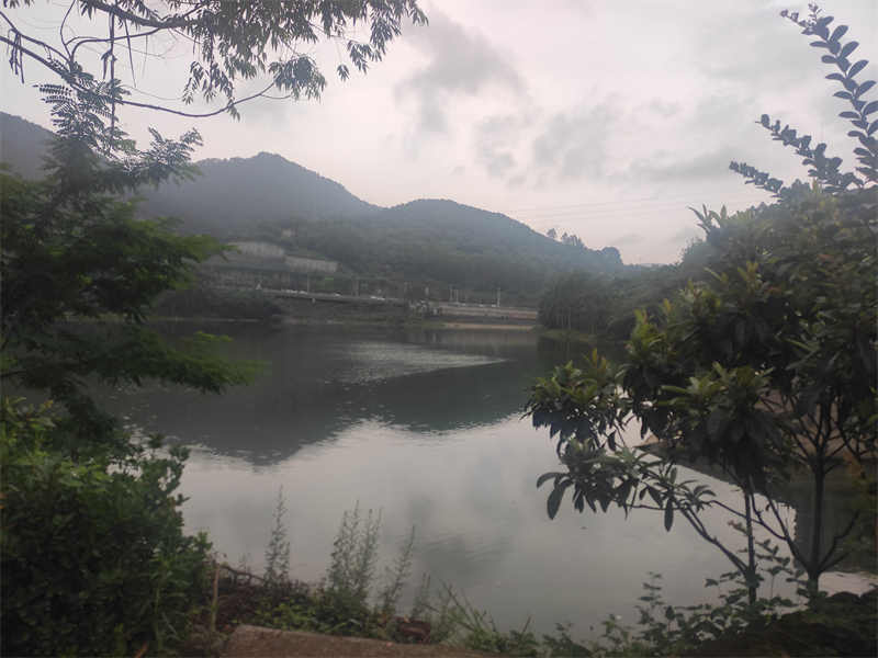 龙台山公墓水系景观