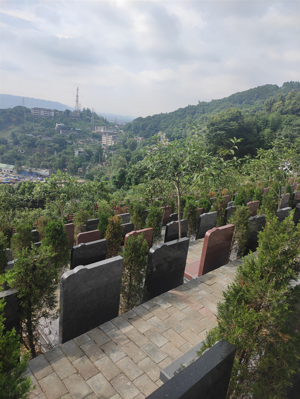 九龙坡仙友山墓地环境