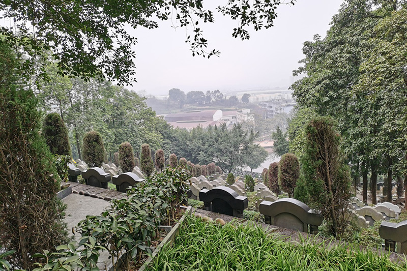 墓区实拍 墓区实拍