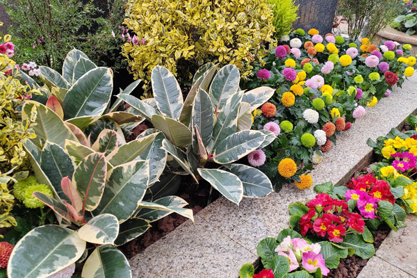 重庆南岸区灵安陵园有花坛葬吗？花坛葬价格明细