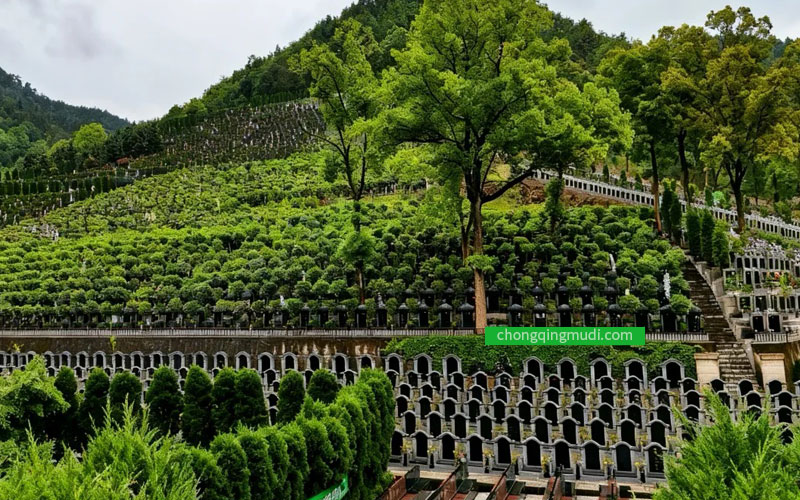 仙居山陵园环境清幽庄重
